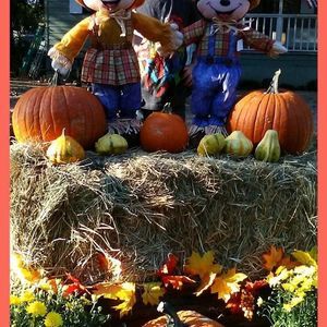 Meet your Posher, Lorree